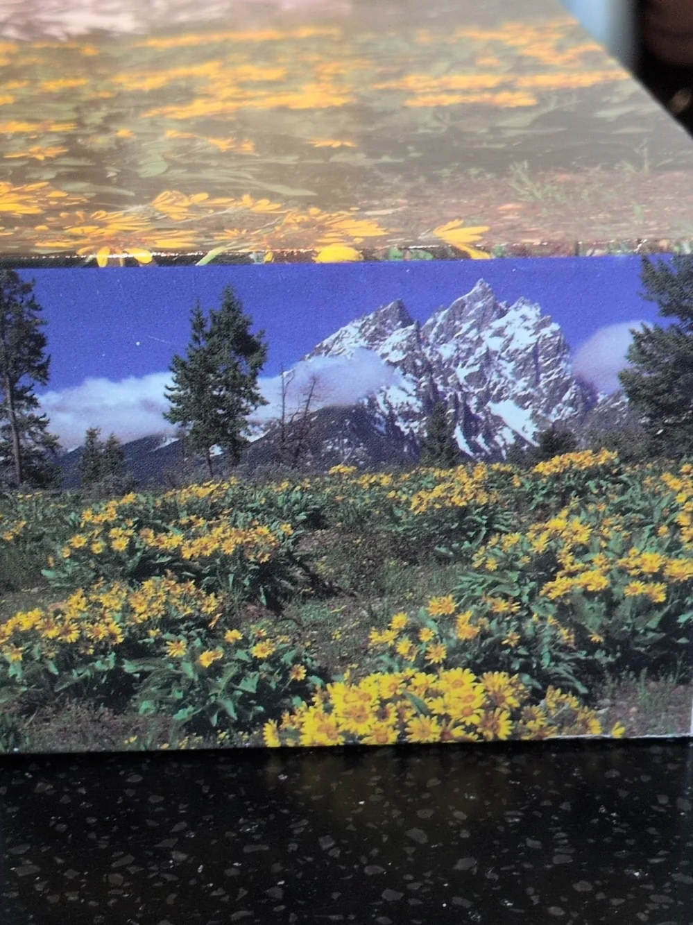 VTG Milton Bradl500 Piece Puzzle Mountain Wildflower Wall Art - Yellow New Inbox